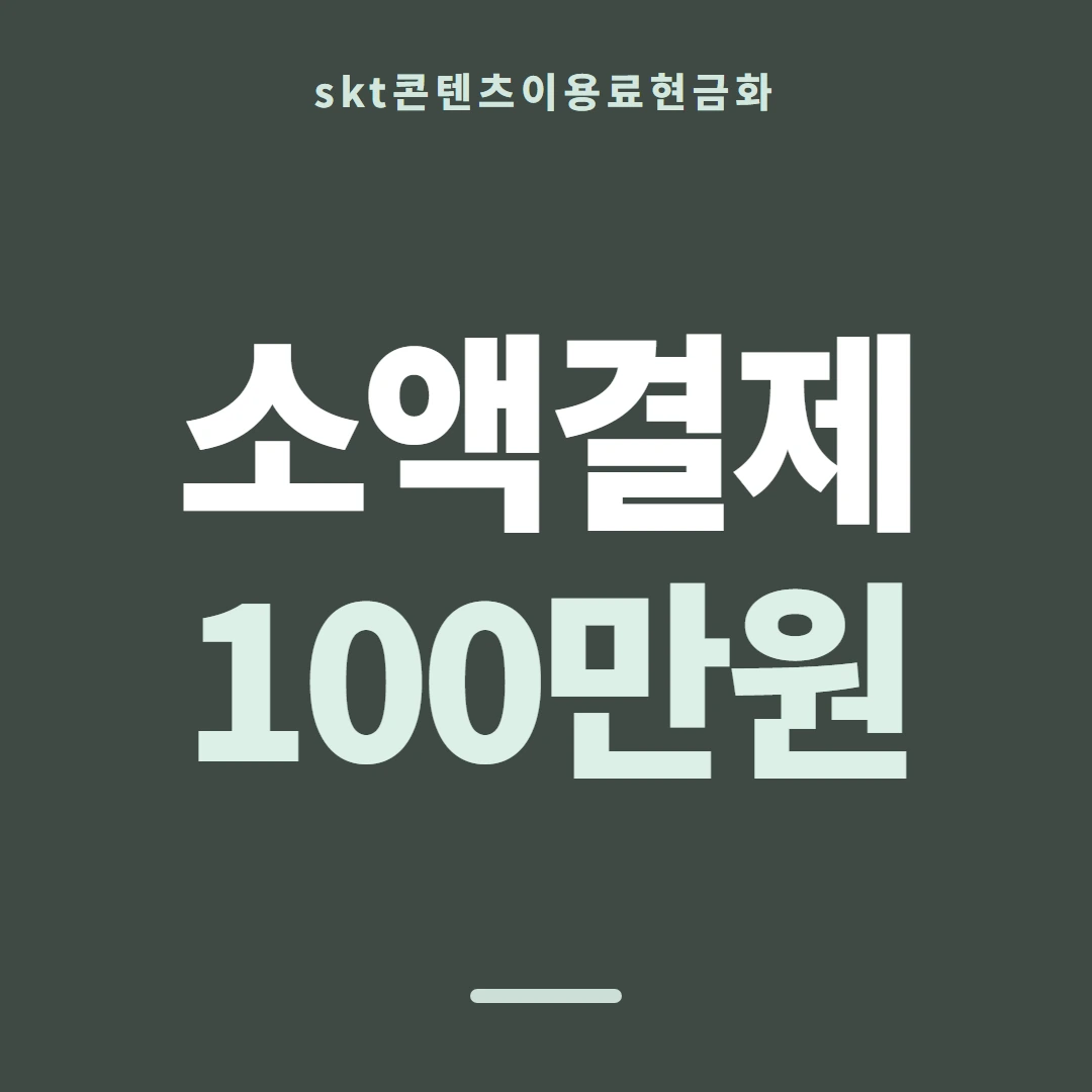 품티켓 SKT 콘텐츠이용료 결제가 붙는 짜임 안내 이미지