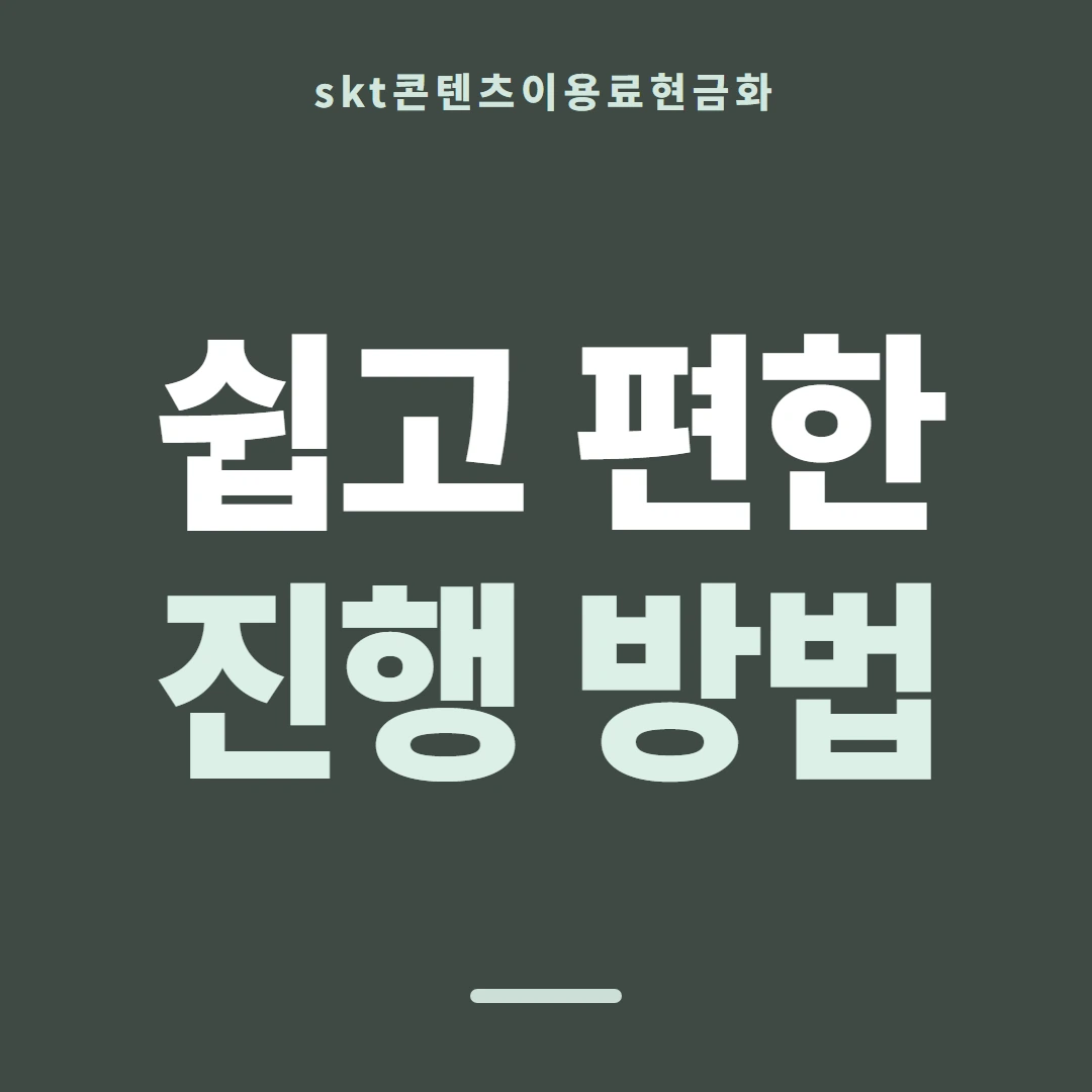 품티켓 SKT 콘텐츠이용료 청구서 콘텐츠 갈래 안내 이미지