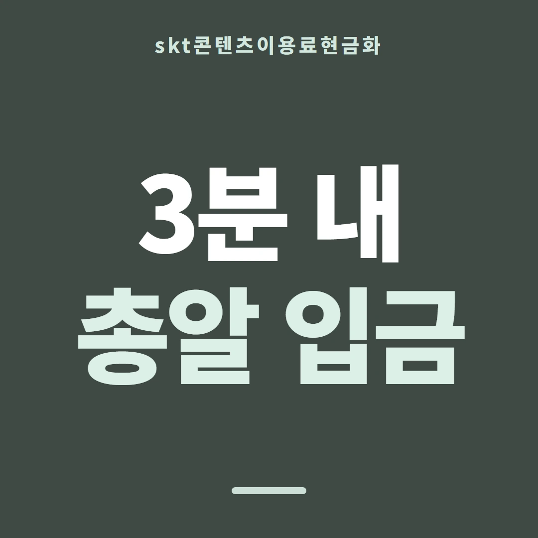 품티켓 SKT 콘텐츠이용료 지난 결제 기록 안내 이미지