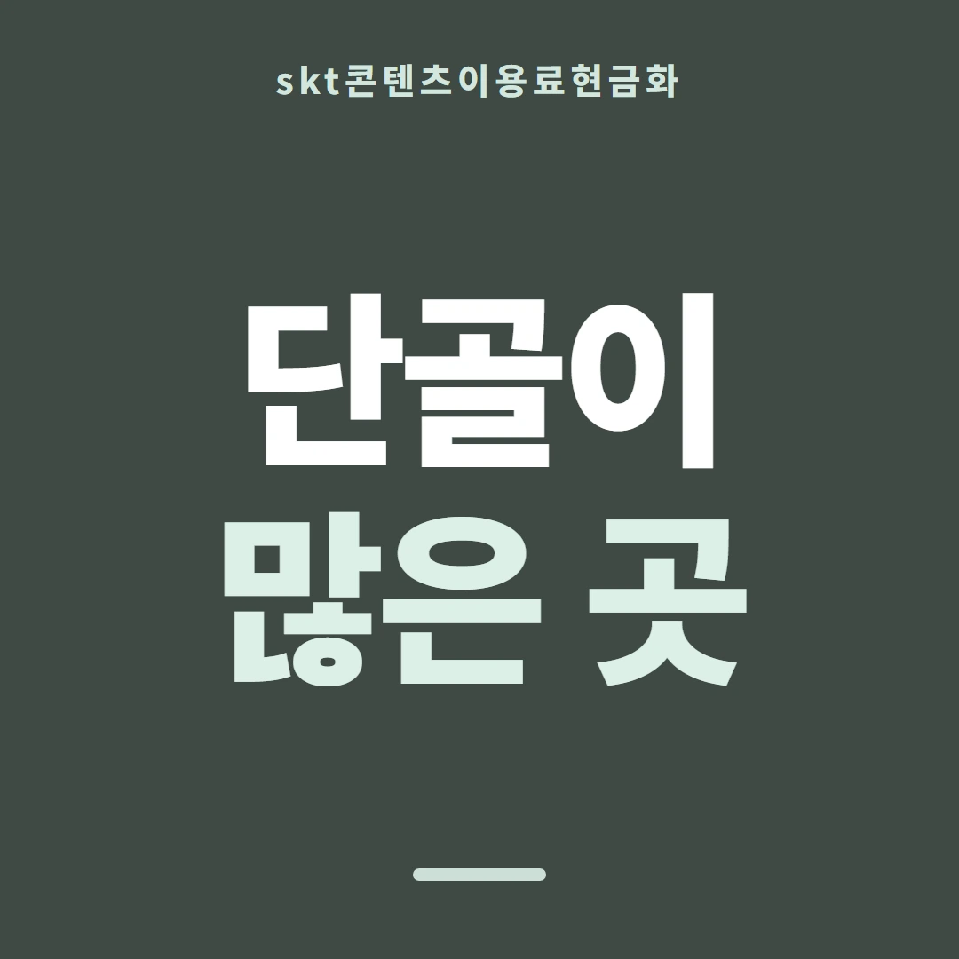 품티켓 SKT 콘텐츠이용료 회선마다 다른 규정 안내 이미지