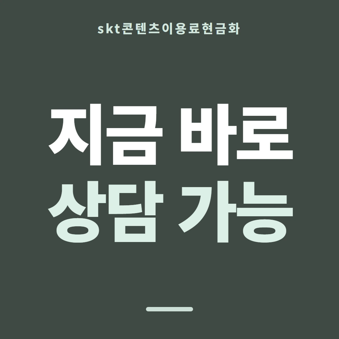 품티켓 SKT 콘텐츠이용료 무엇을 기준으로 볼까 안내 이미지